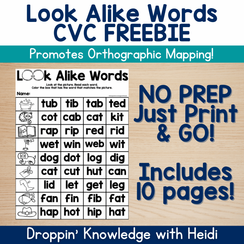 Look Alike Words - CVC Words - Droppin Knowledge