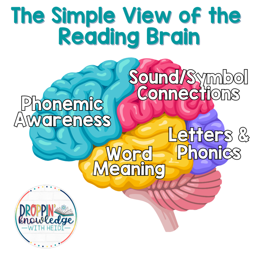 Simple view of the reading brain droppin knowledge