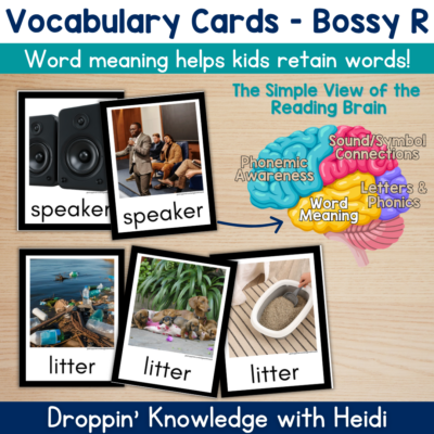 Bossy R Vocabulary Cards Phonics Comprehension Meaning