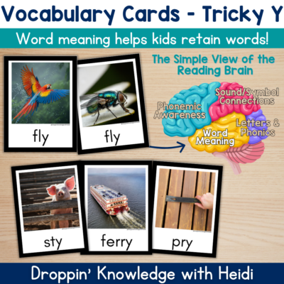 Tricky Y (Y as a vowel) Vocabulary Cards Phonics Comprehension Meaning